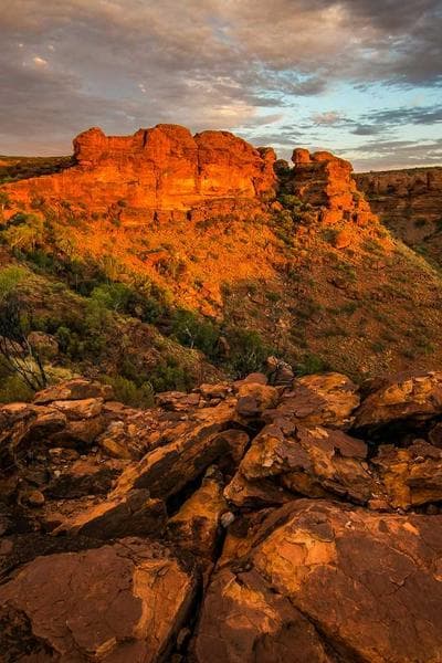 Sapiens: A Brief History of Humankind